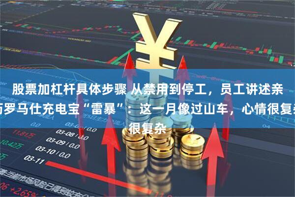 股票加杠杆具体步骤 从禁用到停工，员工讲述亲历罗马仕充电宝“雷暴”：这一月像过山车，心情很复杂
